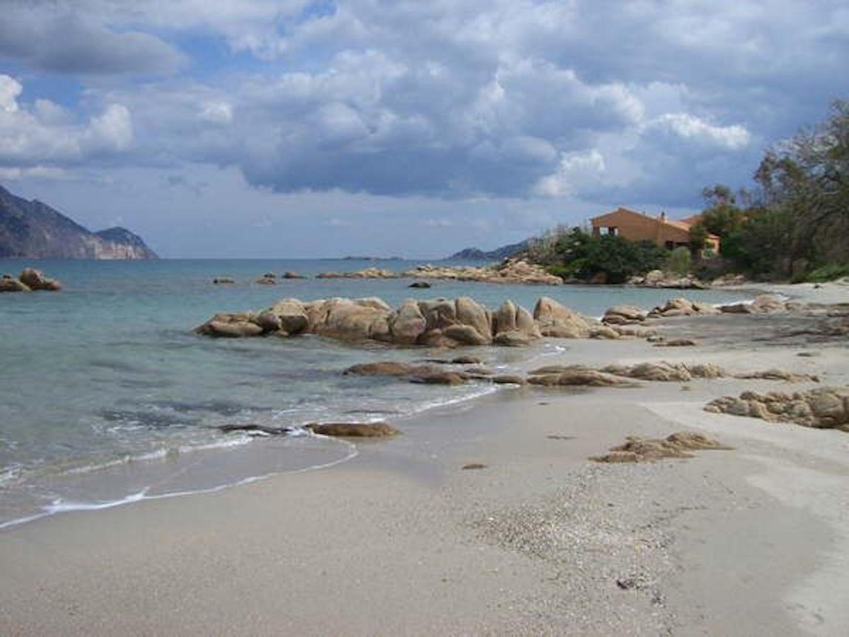 Oleandro - 2349447 Holiday home San Teodoro (Sardinia)